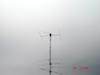 DSC00097.jpg